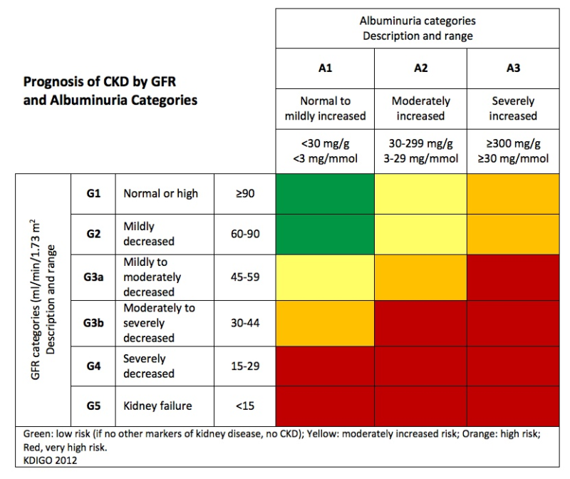 Protein Diet Guide For Chronic Kidney Disease Cukebook